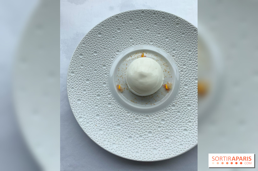 Oiseau Blanc Peninsula