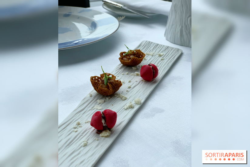 Oiseau Blanc Peninsula