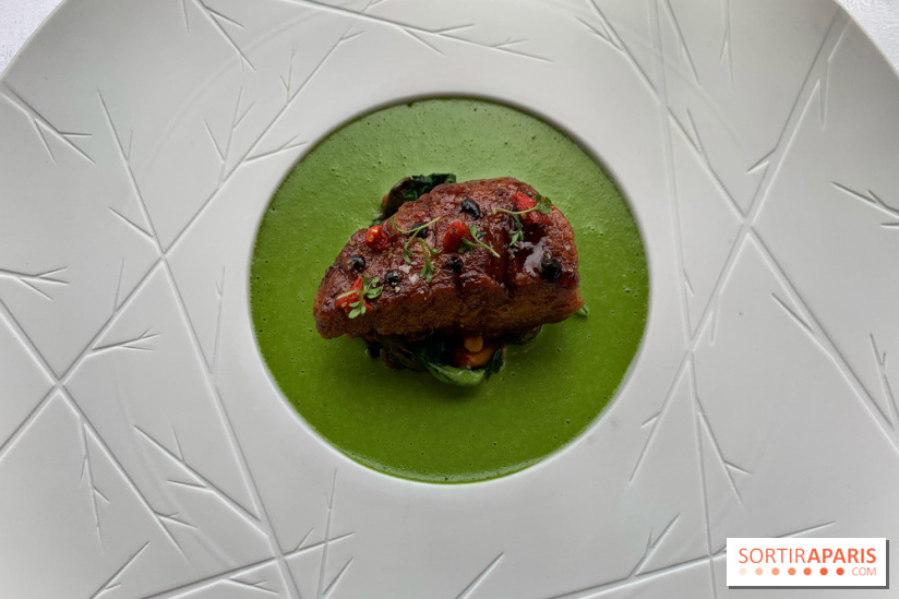 Oiseau Blanc Peninsula