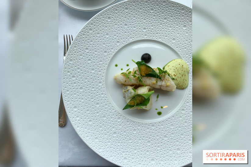 Oiseau Blanc Peninsula