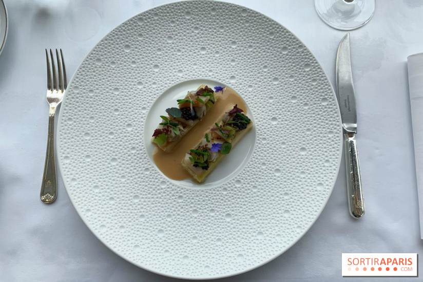 Oiseau Blanc Peninsula