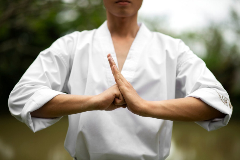 Le Festival des Arts Martiaux 2024 déménage à l'Adidas Arena