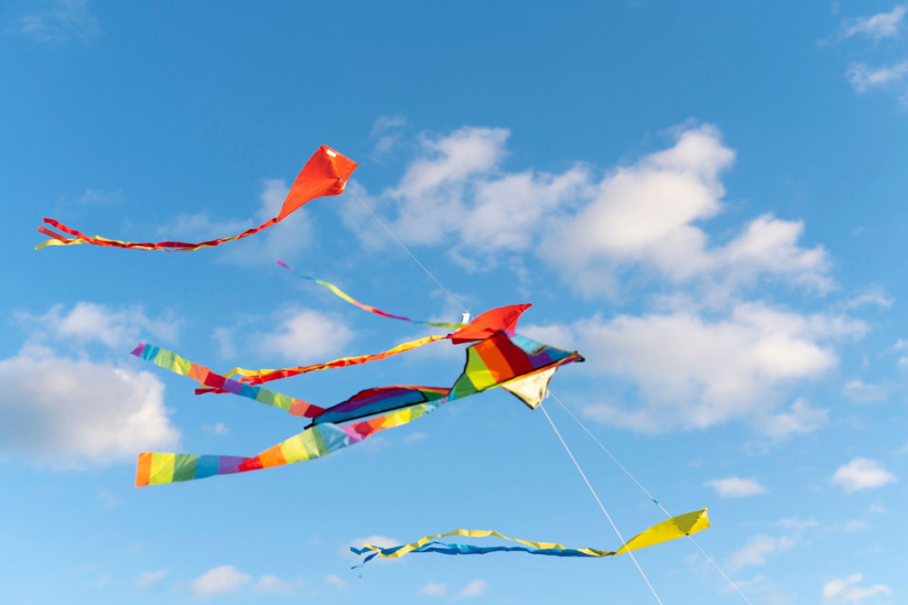 Festival de Cerfs-Volants : Base 2017