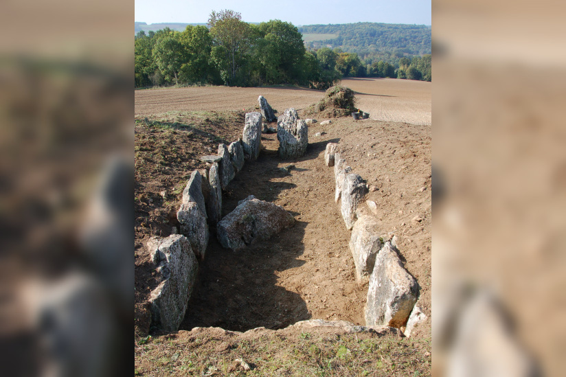 Visite guidée d'un chantier de fouilles archéologiques