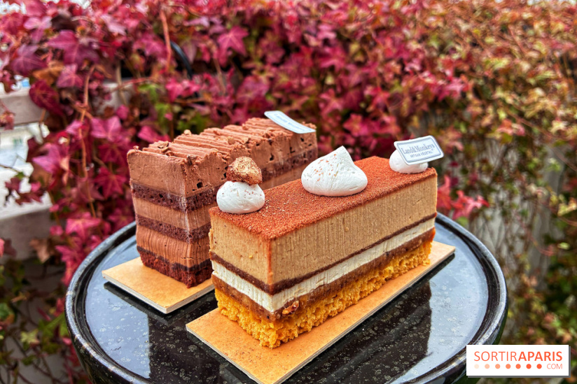 Bûches de Noël végétales 2024 de Land&Monkeys : trois délices vegan à partager