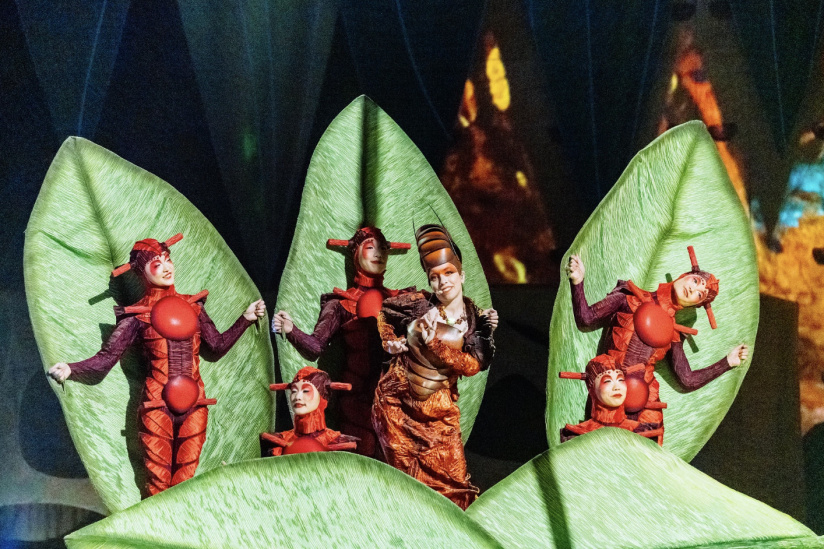 Ovo : le spectacle du Cirque du Soleil en novembre 2026 à l'Arena Porte de la Chapelle