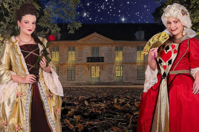 Journées du Patrimoine 2026 : un spectacle son et lumière au Château de Haute Maison (94)