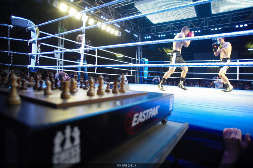 Inusitado: assistir ao xadrez no Cabaret Sauvage, uma cruz entre o boxe  inglês e o xadrez 