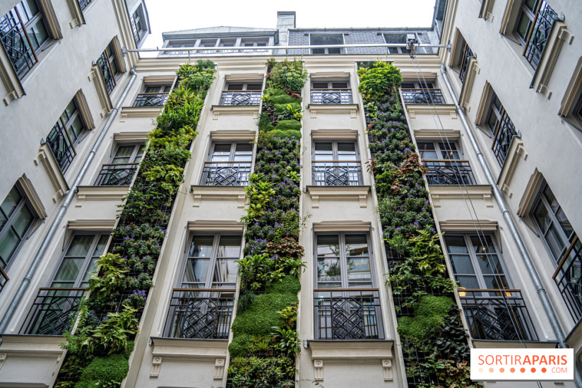 Kimpton St Honoré Paris, Restaurant Montecito