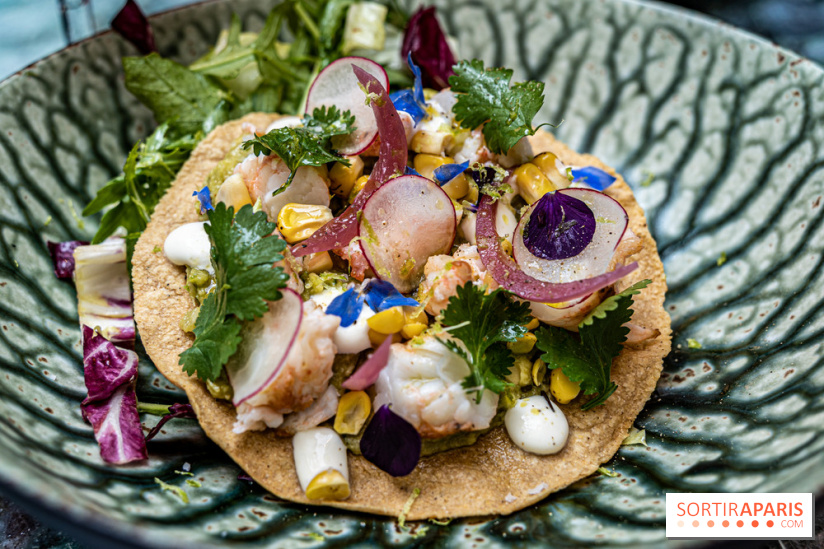 Montecito restaurant Paris