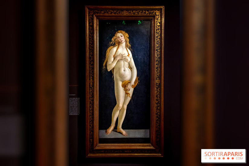 Botticelli, Artiste & Designer, l'exposition au Musée Jacquemart-André - nos photos