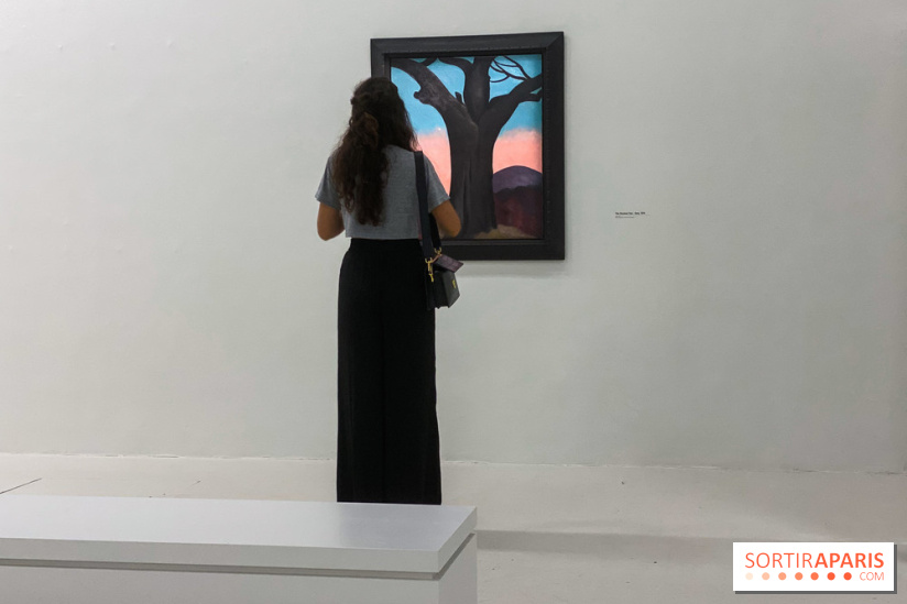 Georgia O'keeffe au Centre Pompidou