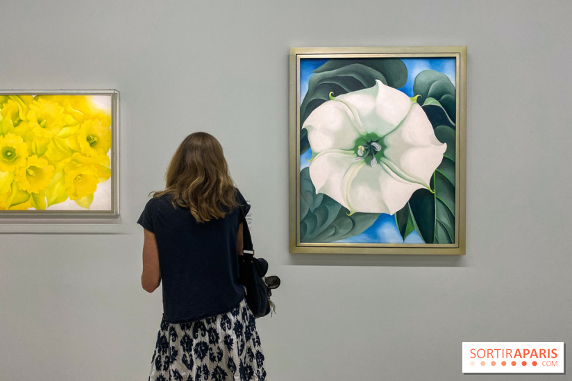 Georgia O'keeffe au Centre Pompidou