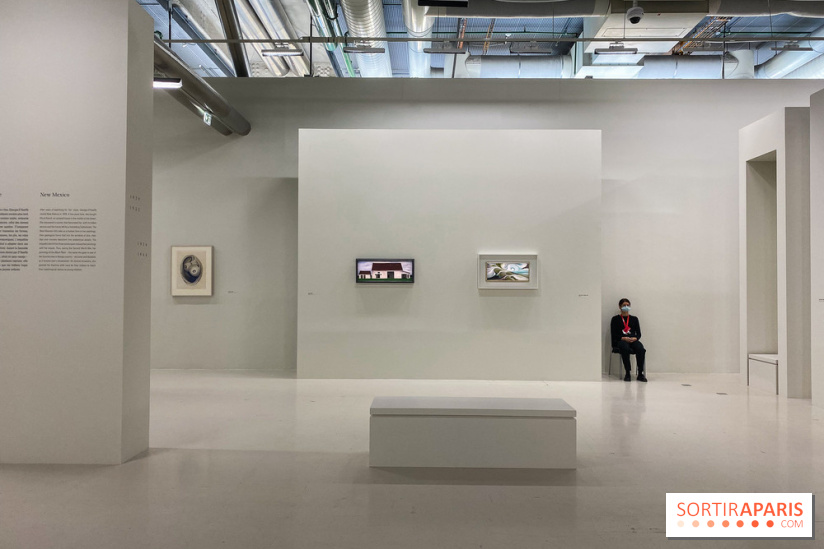 Georgia O'keeffe au Centre Pompidou