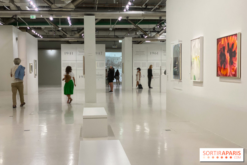 Georgia O'keeffe au Centre Pompidou