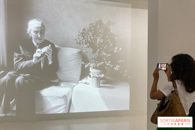 Georgia O'keeffe au Centre Pompidou