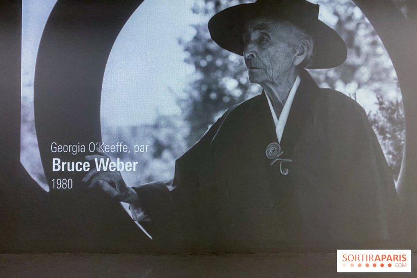 Georgia O'keeffe au Centre Pompidou