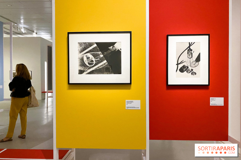 Les chefs-œuvre du MOMA au Jeu de Paume