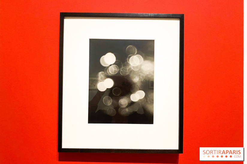 Les chefs-œuvre du MOMA au Jeu de Paume