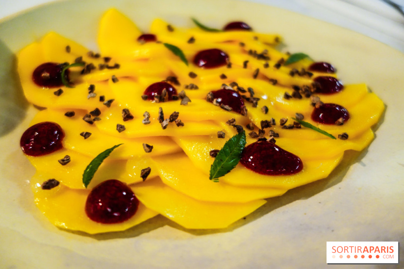 Tzantza à Paris, nos photos