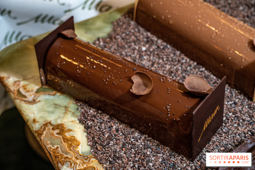 Photos : Les Bûches de Noël 2021 et galettes 2022 de Pierre Chirac et Stephanie Le Quellec