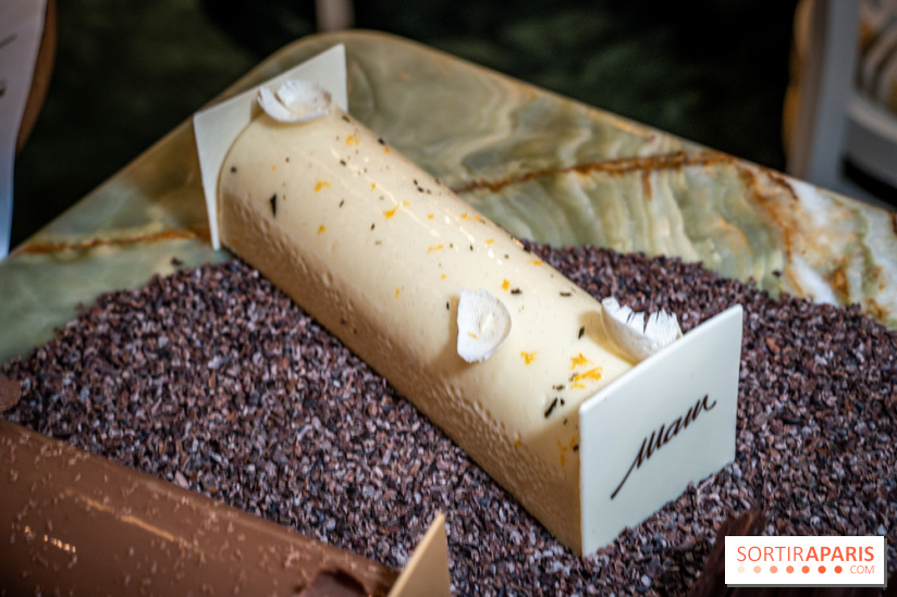 Photos : Les Bûches de Noël 2021 et galettes 2022 de Pierre Chirac et Stephanie Le Quellec