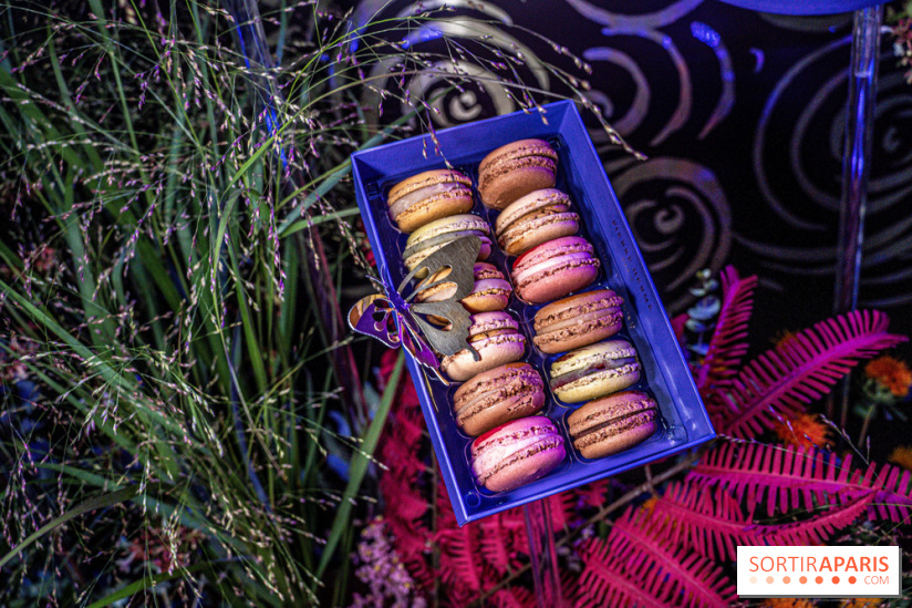 Bûches de Noël de Pierre Hermé 2021 et galettes 2022