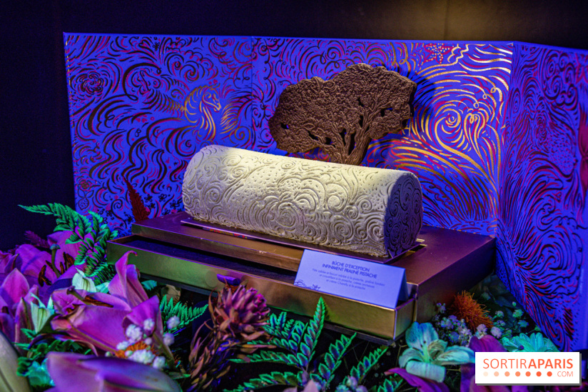 Bûches de Noël de Pierre Hermé 2021 et galettes 2022