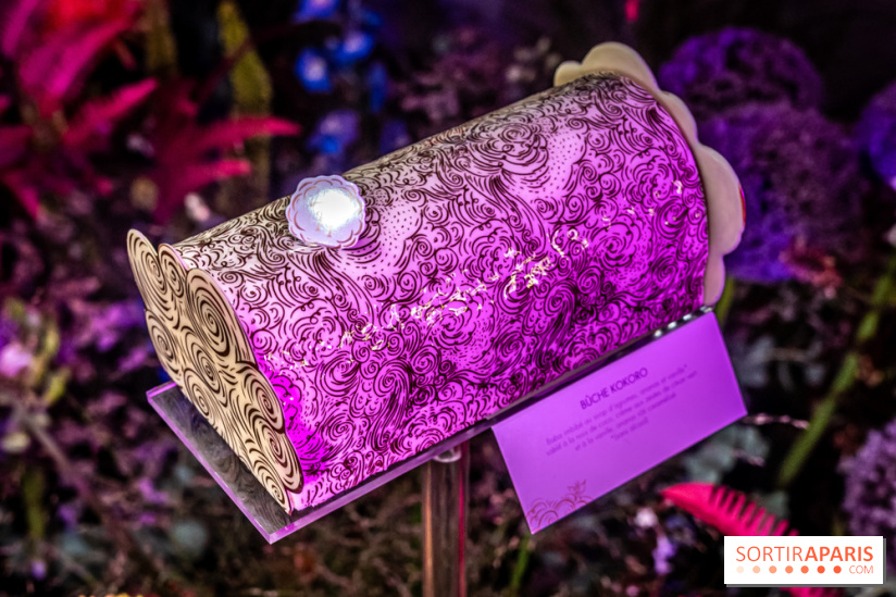 Bûches de Noël de Pierre Hermé 2021 et galettes 2022