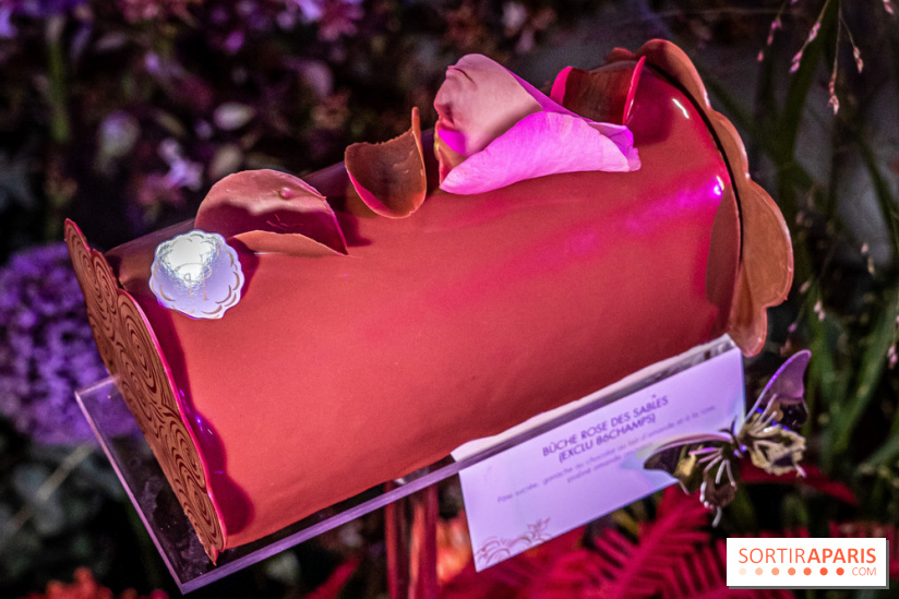 Bûches de Noël de Pierre Hermé 2021 et galettes 2022