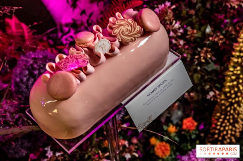 Bûches de Noël de Pierre Hermé 2021 et galettes 2022