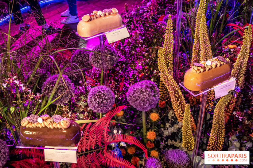 Bûches de Noël de Pierre Hermé 2021 et galettes 2022