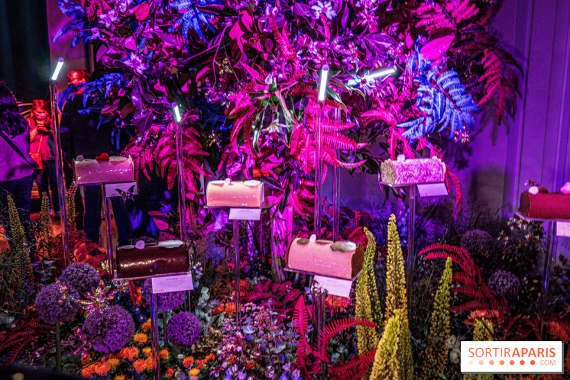 Bûches de Noël de Pierre Hermé 2021 et galettes 2022