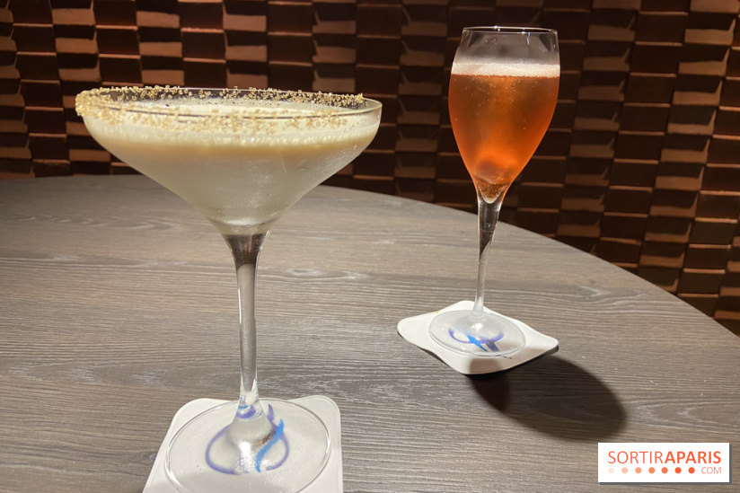 Oceania et sa terrasse en mode jardin méditerranéen à Paris