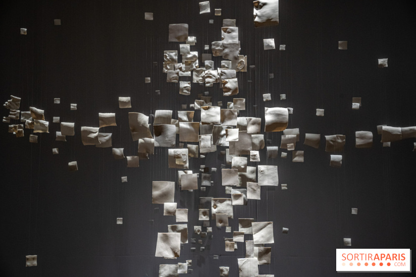 Exposition Aux frontières de l'humain au Musée de l'Homme