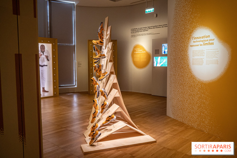 Exposition Aux frontières de l'humain au Musée de l'Homme