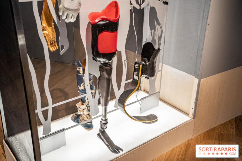 Exposition Aux frontières de l'humain au Musée de l'Homme