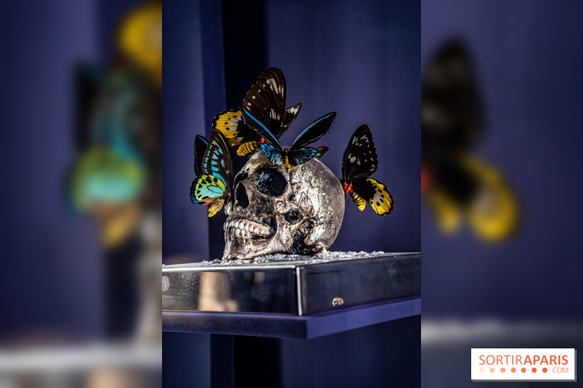 Exposition Aux frontières de l'humain au Musée de l'Homme