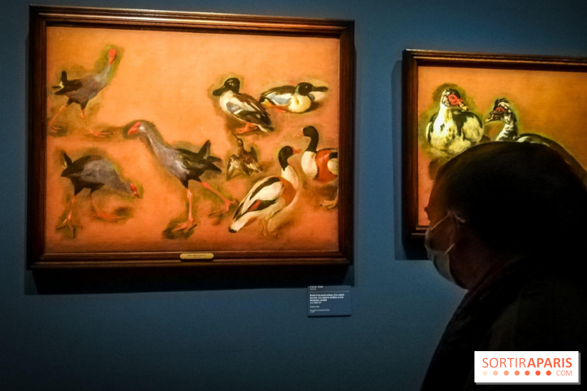 Les animaux du Roi, une exposition qui a du chien au Château de Versailles - nos photos