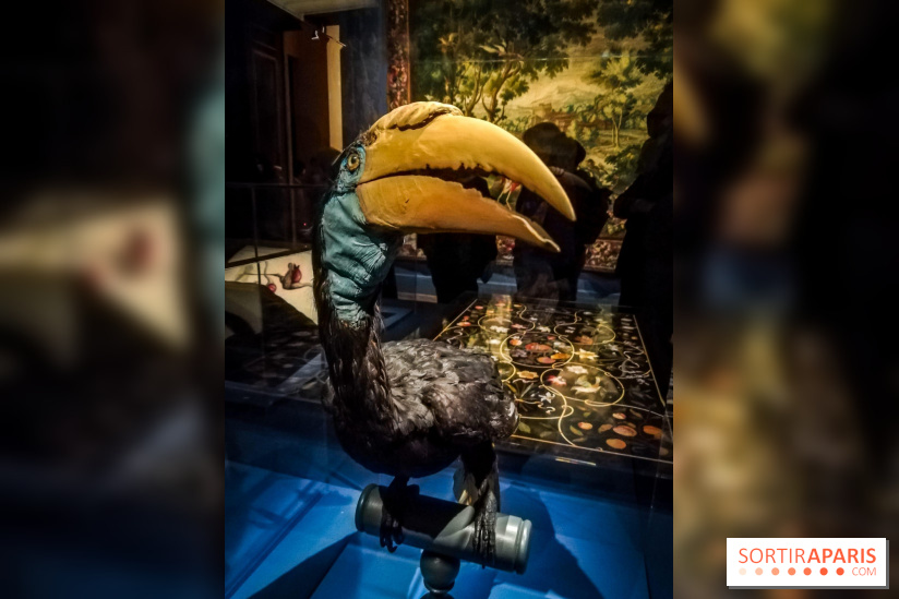 Les animaux du Roi, une exposition qui a du chien au Château de Versailles - nos photos