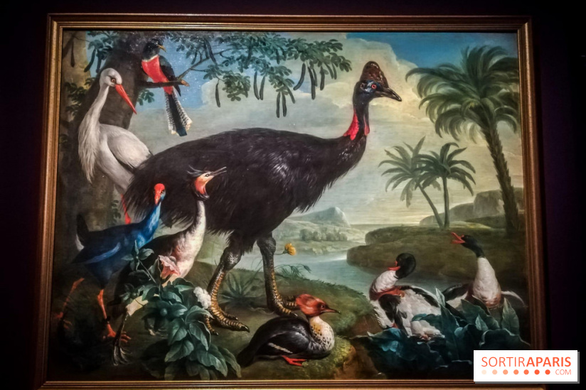 Les animaux du Roi, une exposition qui a du chien au Château de Versailles - nos photos