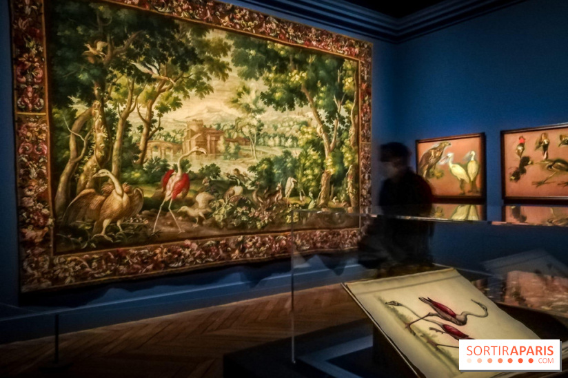 Les animaux du Roi, une exposition qui a du chien au Château de Versailles - nos photos