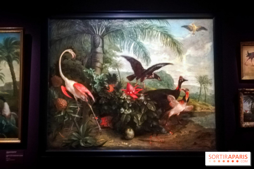 Les animaux du Roi, une exposition qui a du chien au Château de Versailles - nos photos