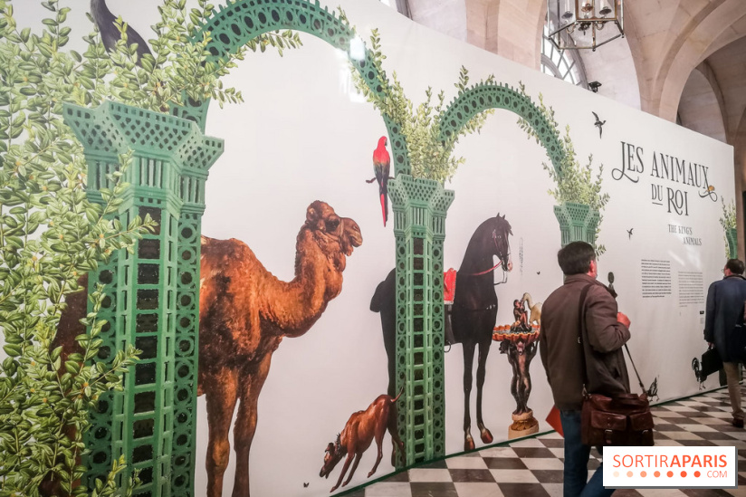 Les animaux du Roi, une exposition qui a du chien au Château de Versailles - nos photos