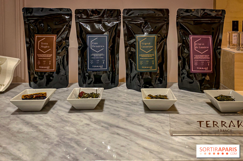 Terrake, le spa de l'hôtel Bowmann pour un moment de détente à deux pas des Champs-Elysées