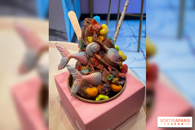 Snowvan, le spot aux bubble tea et glaces insolites