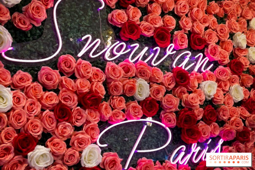 Snowvan, le spot aux bubble tea et glaces insolites