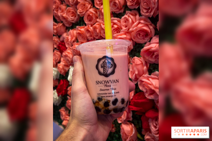 Snowvan, le spot aux bubble tea et glaces insolites