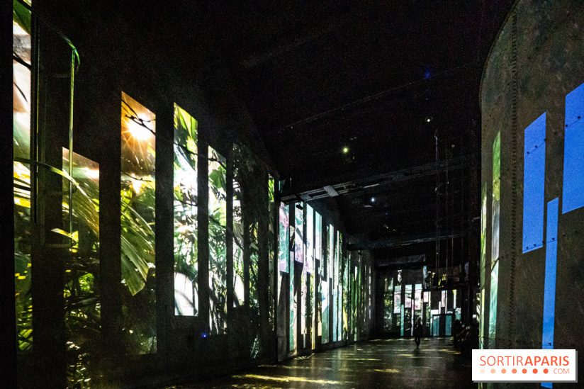 Photos : Destination Cosmos à l'Atelier des Lumières