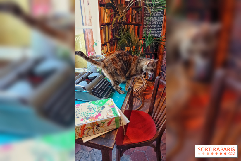 Shakespeare and Company, le café-librairie le plus anglais de Paris